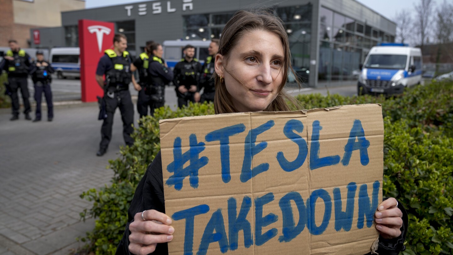 Protesters rebelling in opposition to Elon Musk’s purge of US govt swarm Tesla showrooms