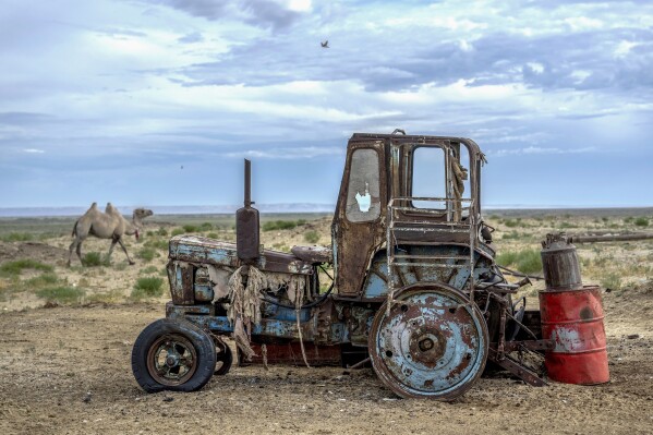 A rusted dilapidated tractor can sits along the dried-up Aral Sea, in the village of Tastubek, near Aralsk, Kazakhstan, Saturday, July 1, 2023. (AP Photo/Ebrahim Noroozi)