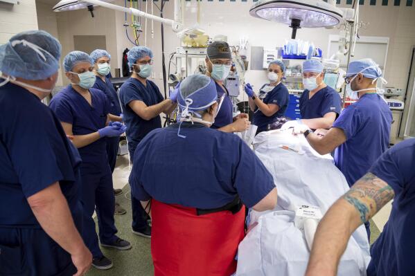 In this photo provided by UPMC and Pitt Health Sciences, a medical team at UPMC Presbyterian hospital prepares research participant Heather Rendulic to get electrodes implanted in her spinal cord in Pittsburgh on May 7, 2021. A stroke left Rendulic with little use of her left hand and arm, so she volunteered for a first-of-its-kind experiment that stimulates her spinal cord in spots that control upper limb motion. (Tim Betler/UPMC and Pitt Health Sciences via AP)