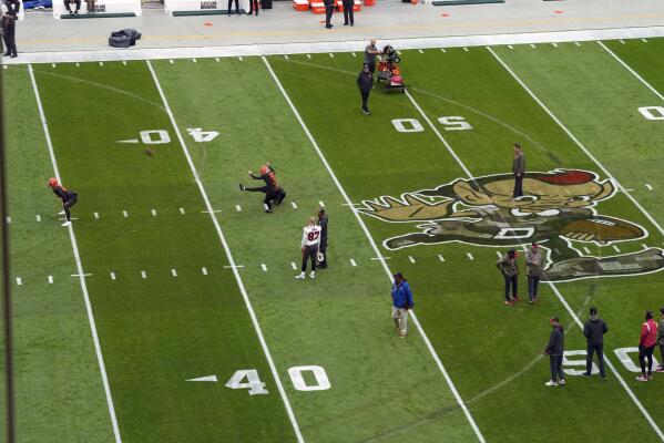 Vandals broke into Cleveland's FirstEnergy Stadium and damaged the field