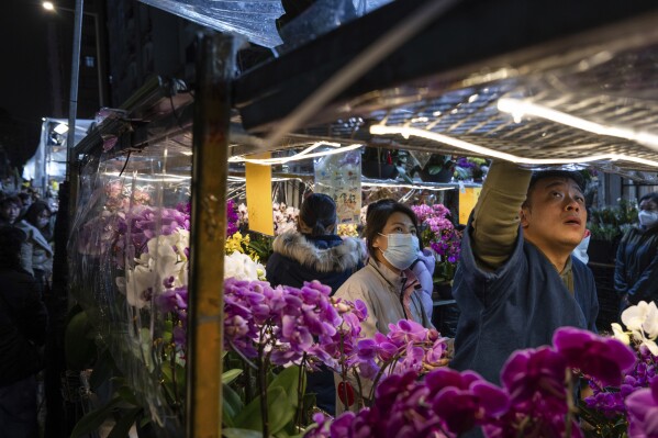 Shoppers browse plants at a flower market ahead of the Lunar New Year of the Dragon in Hong Kong, Thursday, Feb. 8, 2024. (AP Photo/Louise Delmotte)