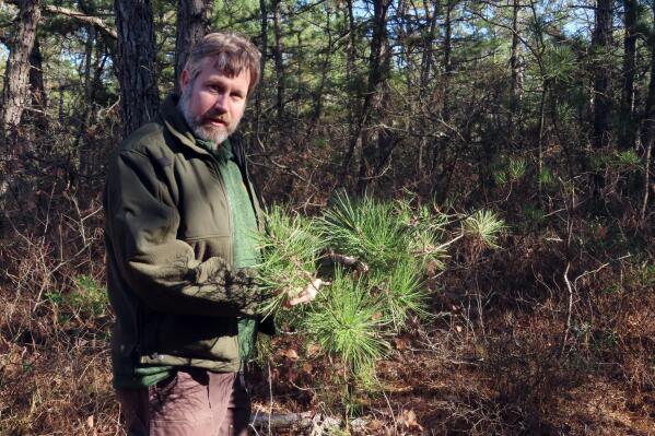 New Jersey Forest Service