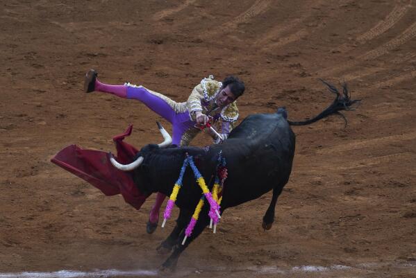 Arturo Macias plunges his sword into a bull during a bullfight at The Plaza de toros México bullring in Mexico City, Sunday, Feb. 20, 2022. This season's bullfights in Mexico City may be the last, as legislators in the city assembly seek to revive a bill banning the activity. (AP Photo/Fernando Llano)