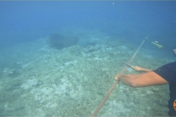 This undated photo provided on Sept. 26, 2023, by Philippine Coast Guard shows a diver cutting rope tied to a floating barrier in the Scarborough Shoal. The Philippine coast guard said Monday, Sept. 25, it has complied with a presidential order to remove a floating barrier placed by China’s coast guard to prevent Filipino fishing boats from entering a lagoon in a disputed shoal in the South China Sea.(Philippine Coast Guard via AP)