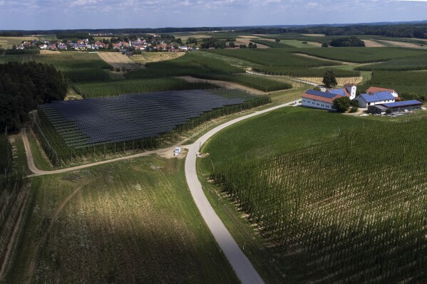 Solar panels are mounted on poles above a hops field near Au in der Hallertau, Germany, Wednesday, July 19, 2023. Solar panels atop crops has been gaining traction in recent years as incentives and demand for clean energy skyrocket. (AP Photo/Matthias Schrader)
