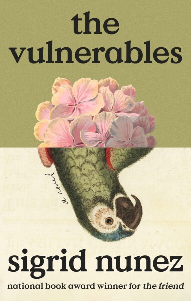 The Vulnerables Cover Image. 
