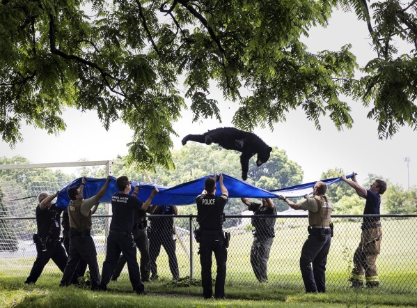 Pennsylvania's wildlife agency, firefighters and police use a large blue tarp to capture a wayward black bear as it falls from a tree Tuesday, June 4, 2024 in Camp Hill, Pa. (Sean Simmers/The Patriot-News via AP)