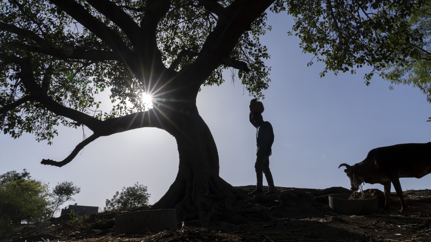 Изменението на климата засяга милиони в Индия. Но докато страната гласува, някои политици заобикалят въпроса