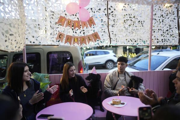 Victoria Font, center left, sings happy birthday to her dog Venus, during a celebration with her sister and friends at Barto Cafe, in Buenos Aires, Argentina, Sunday, April 13, 2025. (AP Photo/Natacha Pisarenko)