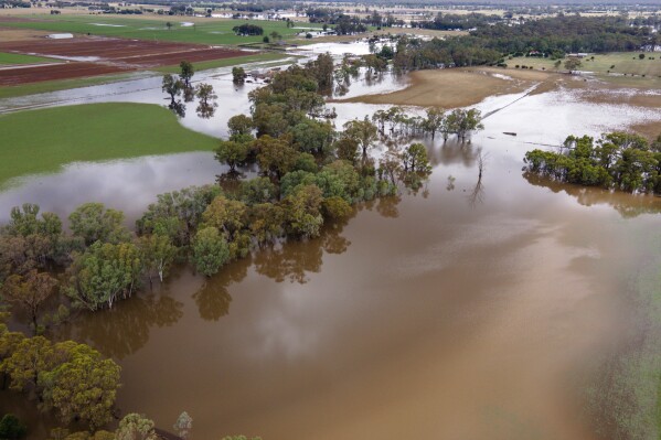 Farm land is flooded near Bendigo, Australia, Monday, Jan. 8, 2024. Hundreds of people were ordered to evacuate their homes after parts of Victoria state were inundated by flooding as wild weather continues to batter Australia's east coast. (Diego Fedele/AAP Image via AP)
