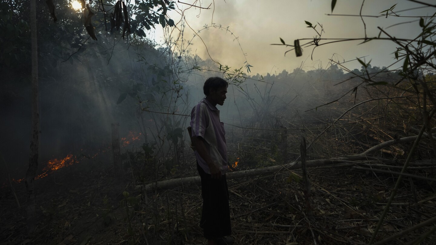 САМОЕНГ Тайланд AP — Когато настъпи сезонът на мъглата вождът