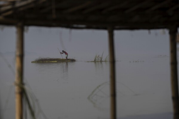 A villager carries fire woods on a makeshift raft near a submerged house in the floodwaters in Sandahkhaiti, a floating island village in the Brahmaputra River in Morigaon district, Assam, India, Wednesday, Aug. 30, 2023. (APPhoto/Anupam Nath)