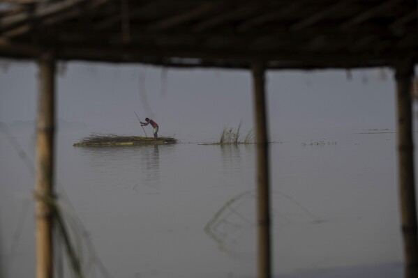 A villager carries fire woods on a makeshift raft near a submerged house in the floodwaters in Sandahkhaiti, a floating island village in the Brahmaputra River in Morigaon district, Assam, India, Wednesday, Aug. 30, 2023. (AP Photo/Anupam Nath)