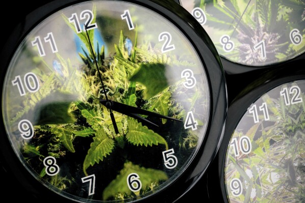 FILE - Set to the symbolic 4:20 time, weed patterns adorn clocks up for sale on the first of three days of Hempfest, Seattle's annual gathering to advocate the decriminalization of marijuana, at Myrtle Edwards Park on the waterfront in Seattle, Aug. 15, 2014. (Jordan Stead/seattlepi.com via AP, File)