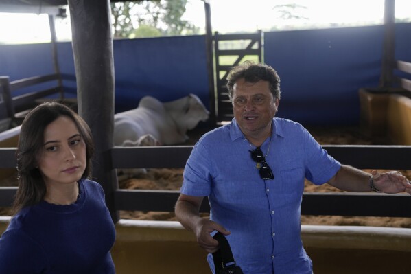 Ney Pereira and his daughter, veterinarian Lorrany Martins, give an interview inside a stable at his farm in Uberaba, Minas Gerais state, Brazil, Friday, April 26, 2024. “We’re not slaughtering elite cattle. We’re breeding them. And at the end of the line, going to feed the whole world,” said Pereira, part owner of Viatina-19. (AP Photo/Silvia Izquierdo)