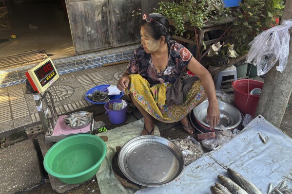 A woman puts Thanakha, traditional make-up, on her face weighs fishes to customers at a local bazaar Wednesday, Feb.12, 2025 in Yangon, Myanmar. (AP Photo/Thein Zaw)