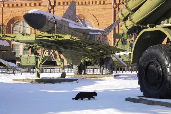 A cat walks past Soviet military equipment collected on the territory of the Artillery Museum in St. Petersburg, Russia, Friday, Feb. 21, 2025. (AP Photo/Dmitri Lovetsky)