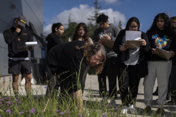 Associate professor Vered Mirmovitch leads her biology class students on a botanical tour on the West Los Angeles College campus in Culver City, Calif., Tuesday, March 12, 2024. As students consider jobs that play a role in solving the climate crisis, they’re looking for meaningful climate training and community colleges are responding. (AP Photo/Jae C. Hong)