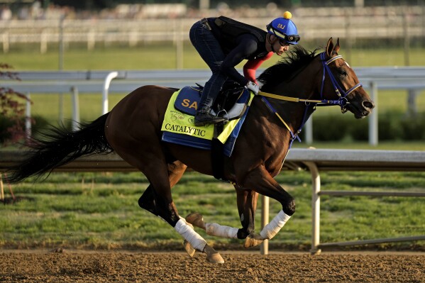 Kentucky Derby hopeful Catalytic works out at Churchill Downs Wednesday, May 1, 2024, in Louisville, Ky. The 150th running of the Kentucky Derby is scheduled for Saturday, May 4. (AP Photo/Charlie Riedel)