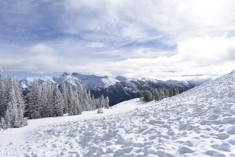 Trees are covered in snow debris from a recent avalanche on Henderson Mountain, Jan. 29, 2024, near Cooke City, Mont. Government forecasters send out daily notices warning of avalanche hazards across the U.S. West.(AP Photo/Matthew Brown)