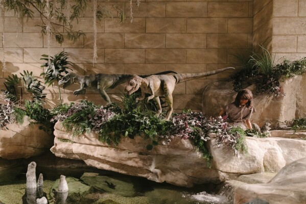 Replicas of dinosaurs and an early human -- which according to evolutionary scientists are separated by tens of millions of years -- are displayed side-by-side in the main hall of the Creation Museum in Petersburg, Ky., Friday, March 21, 2025. (AP Photo/Madeleine Hordinski)