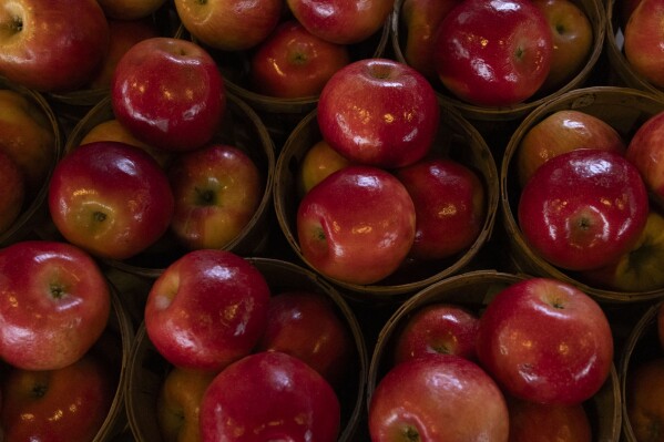 Baskets of apples are displayed across vendor tables at the Rochester Public Market on Friday, March 21, 2025, in Rochester, N.Y. (Caitlyn Daproza via AP)