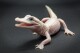 This photo provided by Gatorland shows a white-skinned, leucistic alligator. There are only seven leucistic alligators in the world with three of them located at Gatorland Orlando, according to officials with the reptile park located in central Florida, who announced the birth on Thursday, Dec. 7, 2023. (Ken Guzzetti/Gatorland via 鶹ýapp)