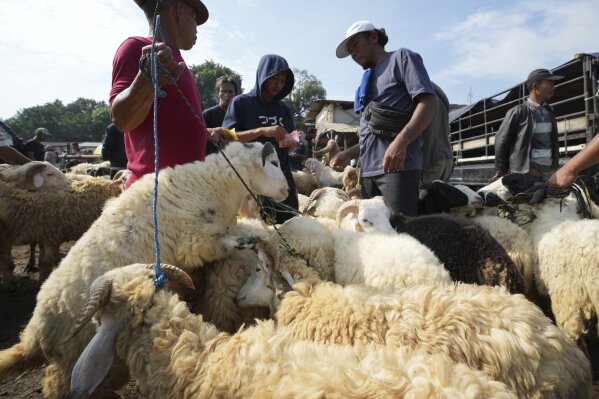 A trader sells his sheep to a buyer ahead of Eid al-Adha holiday at a livestock market in Jonggol, West Java, Indonesia, Monday, June 2, 2025. (AP Photo/Achmad Ibrahim)