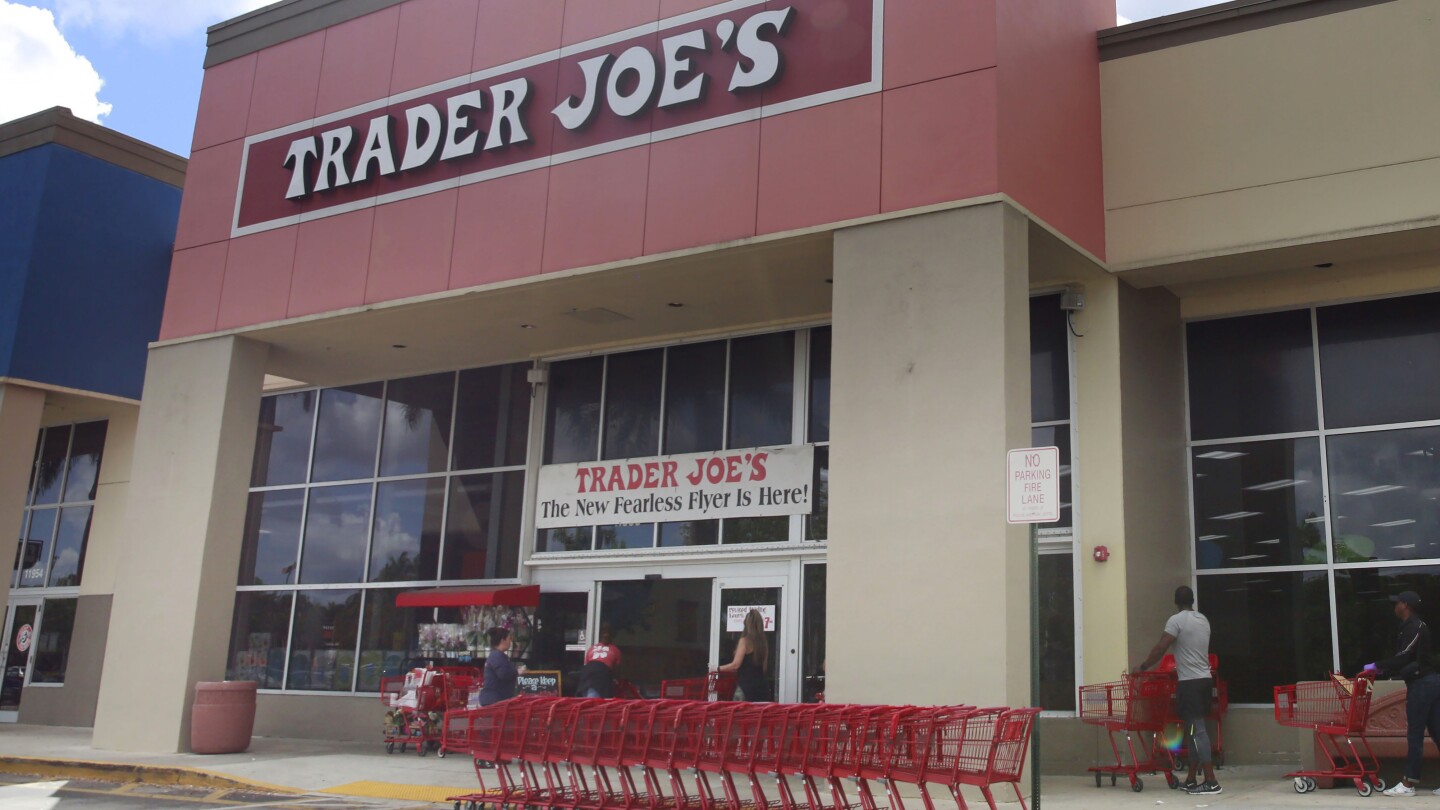 Trader Joe's chicken soup dumplings recalled for possibly containing permanent marker plastic
