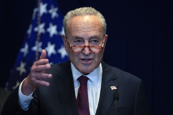 Schumer says he's leading a bipartisan group of senators to Israel to show  'unwavering' US support