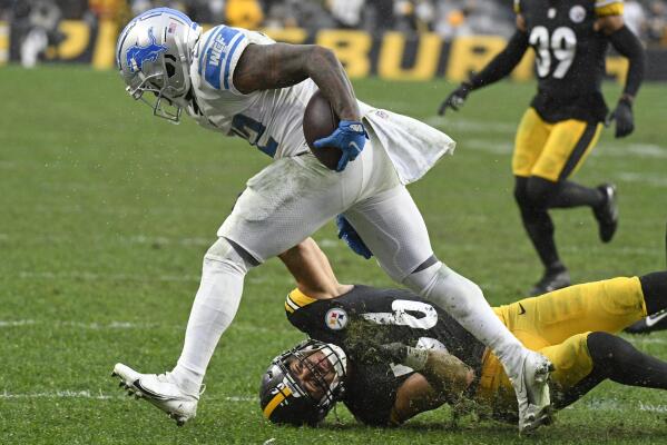 Lions sit several starters, lose to Roethlisberger-led Steelers – Macomb  Daily