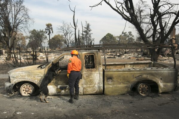 
              Shay Cook, of the Alameda County Sheriff's Office Search and Rescue team and her search dog, Zinka inspect a burned out pickup while searching the Coffey Park area Tuesday, Oct. 17, 2017, in Santa Rosa, Calif. A massive wildfire swept through the area last week destroying thousands of housing and business and taking the lives of more than two dozen people.(AP Photo/Rich Pedroncelli)
            