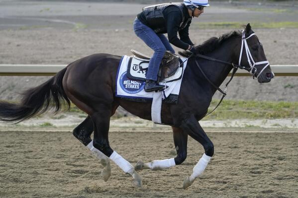 Forte trains ahead of the Belmont Stakes horse race, Friday, June 9, 2023, at Belmont Park in Elmont, N.Y. (AP Photo/John Minchillo)