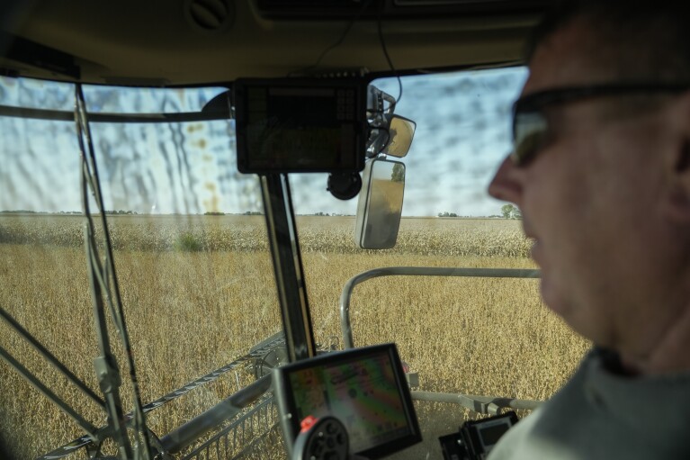 A soybean field is visible as Doug Downs drives his combine during harvest, Tuesday, Oct. 10, 2023, at a farm near Allerton, Ill. (AP Photo/Joshua A. Bickel)