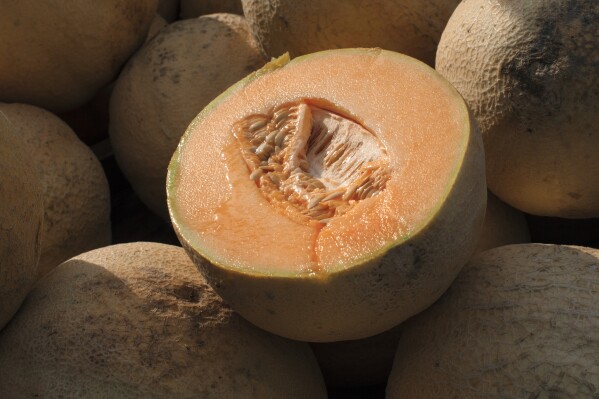 FILE - Cantaloupes are displayed for sale in Virginia on Saturday, July 28, 2017. U.S. health officials recalled three more brands of whole and pre-cut cantaloupes Friday, Nov. 24, 2023 as the number of people sickened by salmonella more than doubled this week. (AP Photo/J. Scott Applewhite, File)