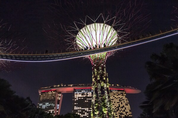 Visitors walk along an elevated path at next to "Supertrees" during a light and sound show at Gardens By The Bay in Singapore, Monday, July 17, 2023. The giant structures are meant to mimic real life trees by providing shade from the sun while also capturing the sun's energy using solar panels at the top. They range in size from the tallest, at around 50 meters (164 feet), down to 25 meters (82 feet) tall. (AP Photo/David Goldman)