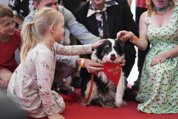 Lola, centre, receives the Palm Dog award on behalf of Panda, who could not attend, during the Palm Dog award ceremony at the 78th international film festival in Cannes, southern France, Friday, May 23, 2025. (AP Photo/Natacha Pisarenko)
