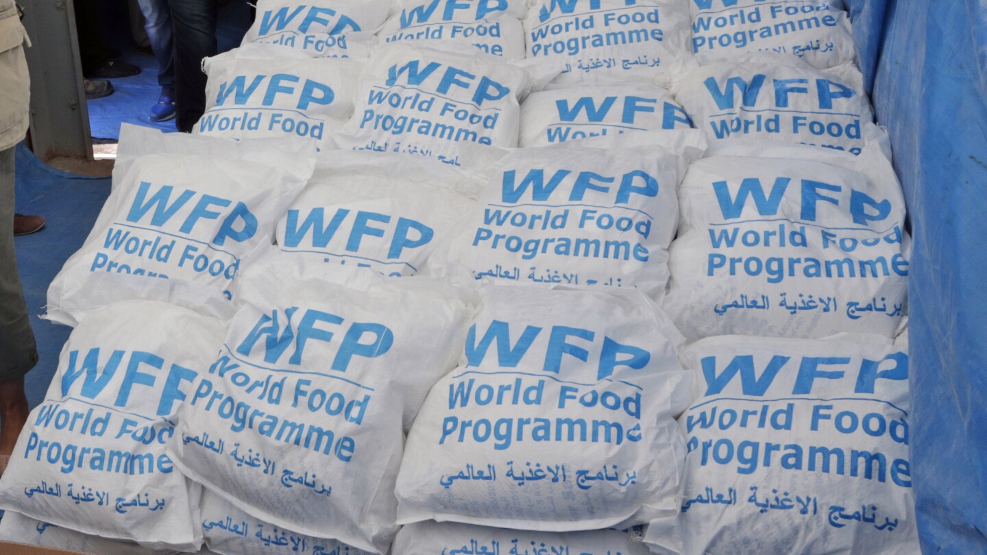 Millions of Syrians to be affected as World Food Program ends main assistance program in January