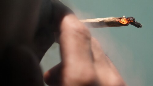 A Japanese tourist smokes cannabis at a Dutch passion shop in Bangkok, Thailand, Tuesday, June 27, 2023. Thailand’s de facto legalization of marijuana last year has brought a wave of tourists from the region intrigued by the lure of the forbidden leaf.(AP Photo/Sakchai Lalit)