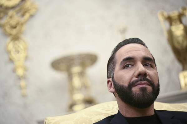 El Salvador's President Nayib Bukele listens during a meeting with President Donald Trump in the Oval Office of the White House in Washington, Monday, April 14, 2025. (Pool via AP)