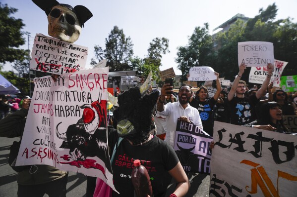 Animal activists protest against the return of bullfighting at the Plaza Mexico, in Mexico City, Sunday, Jan.  28, 2024. (AP Photo/Fernando Llano)