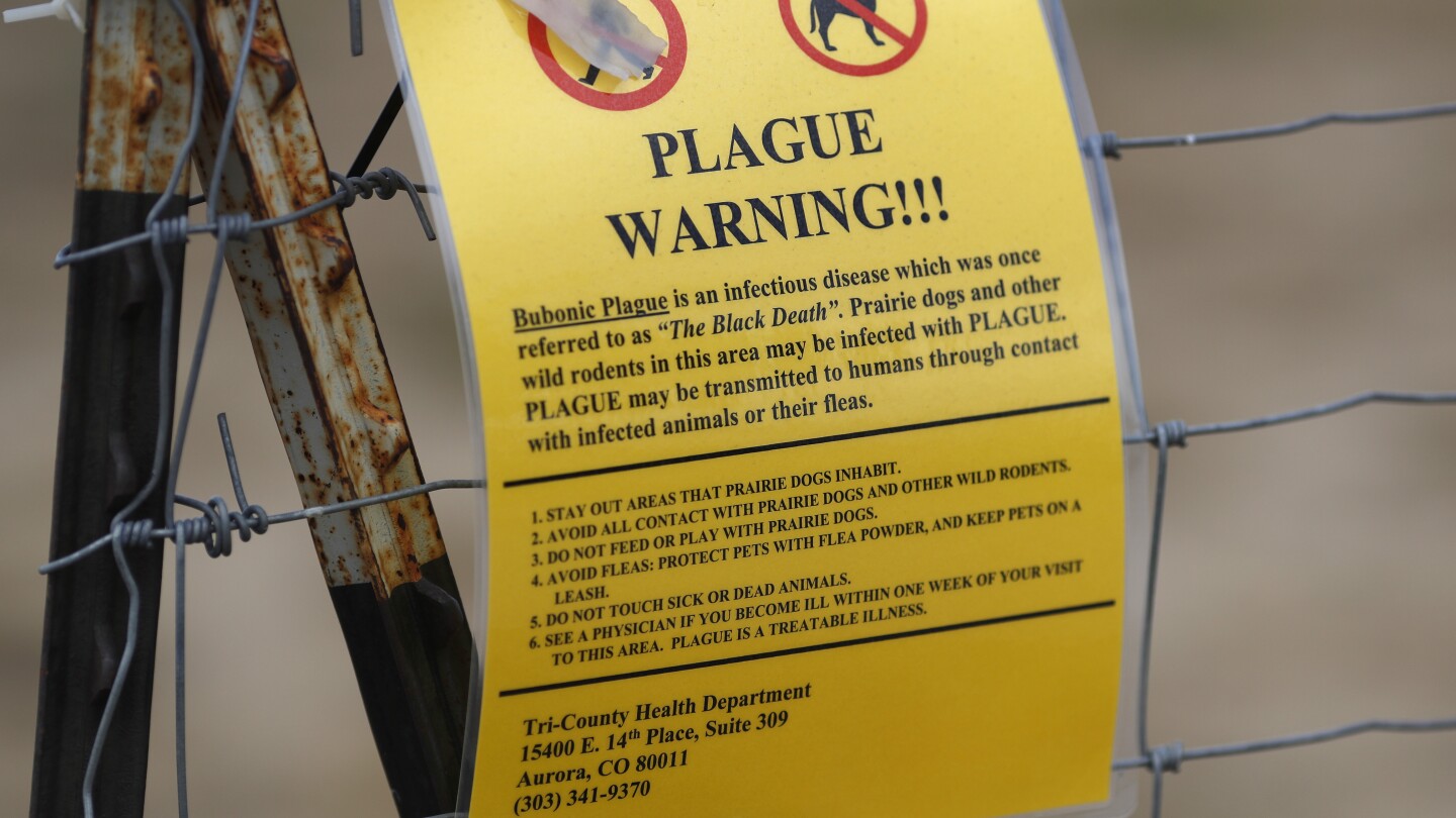 Oregon resident diagnosed with bubonic plague. Here’s what to know