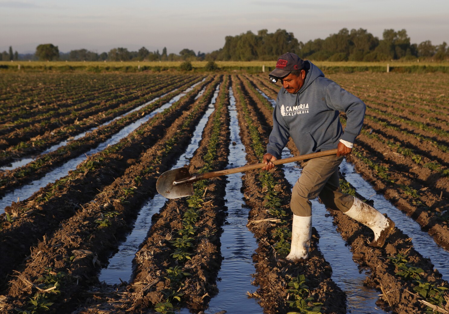 Mexico Announces Food and Agriculture Plan That Could Take the Country Back to the 1980s