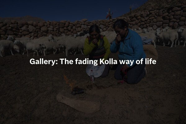The Kolla are among a number of indigenous peoples living in Bolivia, Chile and Argentina. They have been living in the region for centuries.