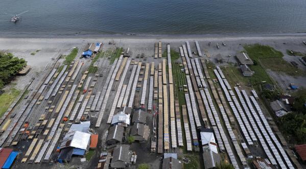 Fish are laid out to dry at a coastal village in Tacloban, Leyte, Philippines on Thursday, Oct. 27, 2022. (AP Photo/Aaron Favila)