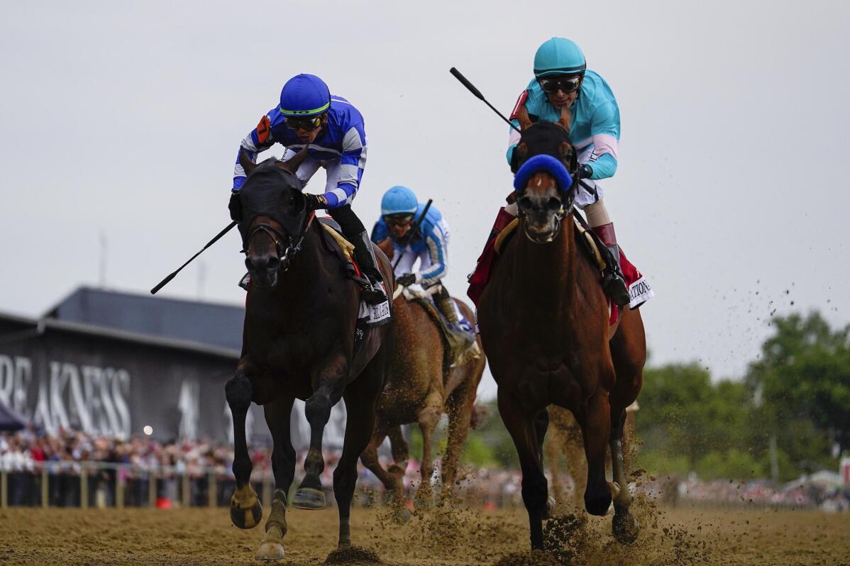 One Baffert horse euthanized on track on undercard before another