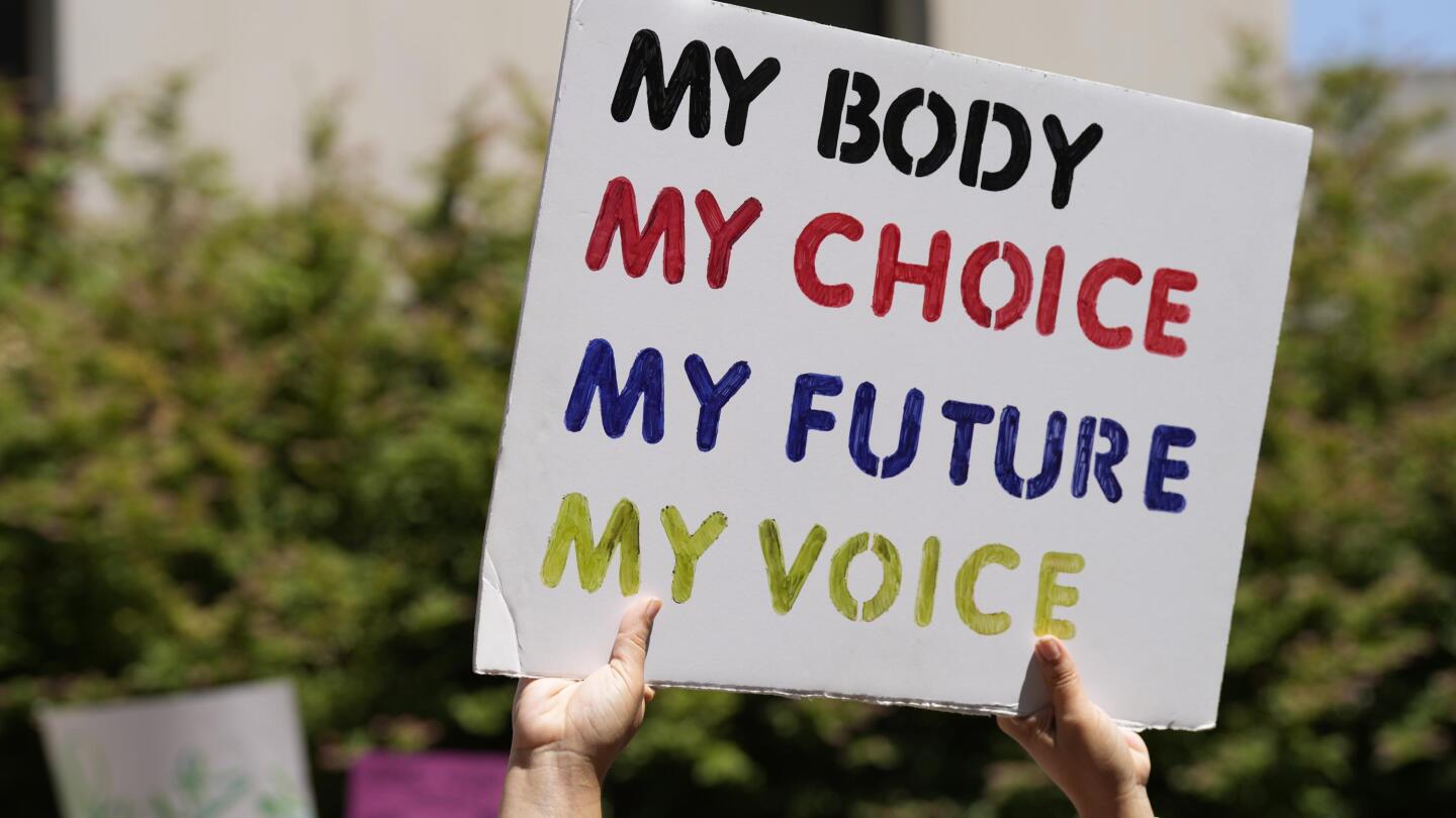 Abortion rights groups look to next fights after 2022 wins
