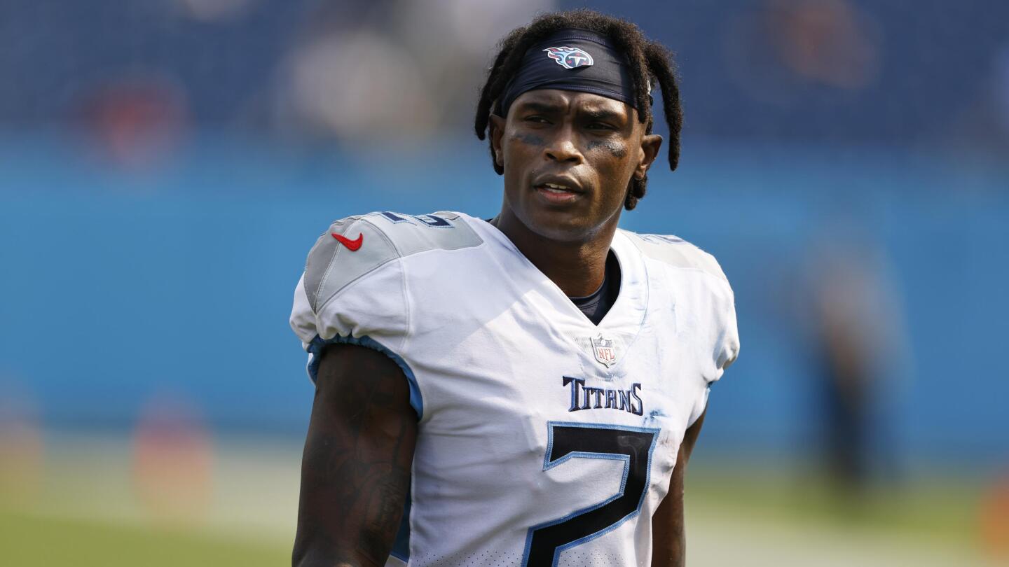 Tennessee Titans: Wide receivers still available in free agency