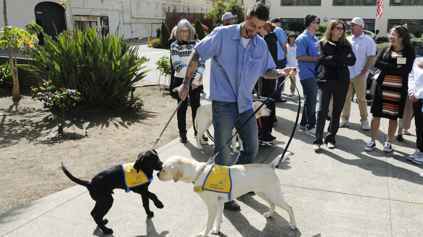 San Quentin inmates reunite with puppies they raised into service dogs
