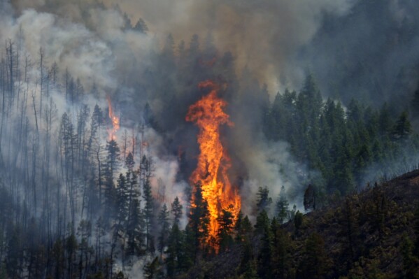 Flames rise amid the billowing smoke from a wildland fire burning along the ridges near the Ken Caryl Ranch development Wednesday, July 31, 2024, southwest of Littleton, Colo. (AP Photo/David Zalubowski)